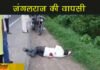 अपराधियों का आतंक: बेगूसराय में बाइक सवार अपराधियों ने बेवजह 10 लोगों को गोली मारी, एक की मौत
